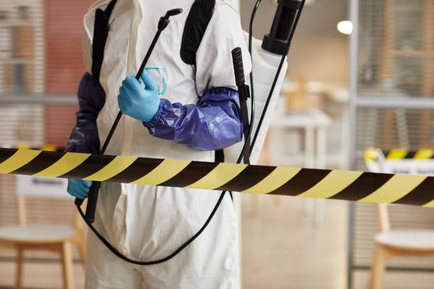 Professional Sewage Cleanup technician working in Harveysburg, OH